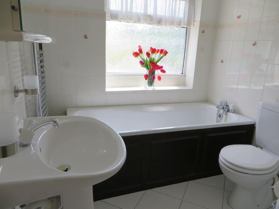 ברמינגהאם Comfortable Rooms מראה חיצוני תמונה